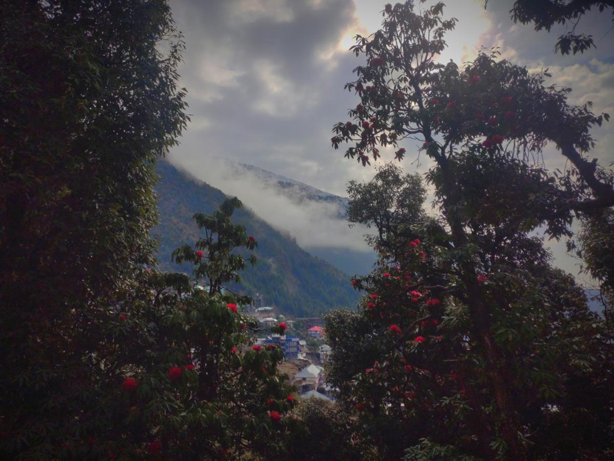 The Unmad, Dharamkot Hotel Dharamshala Buitenkant foto